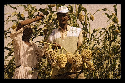 UNDP Assist Sudan's River Nile State's Villagers