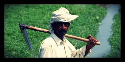 US AID Fighting Terrorism With Wool