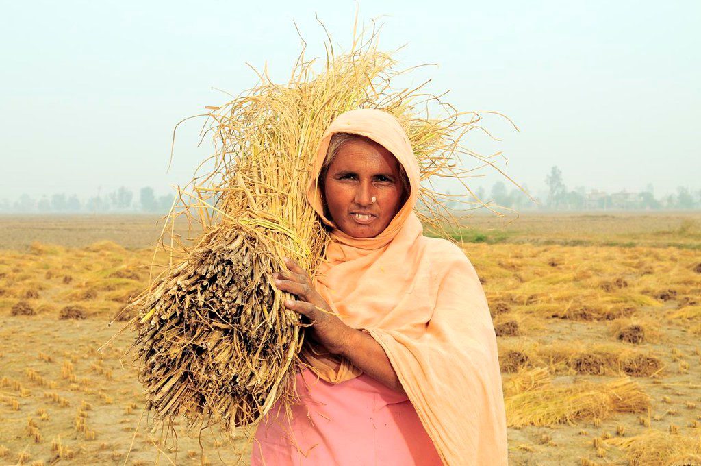 USAID in India