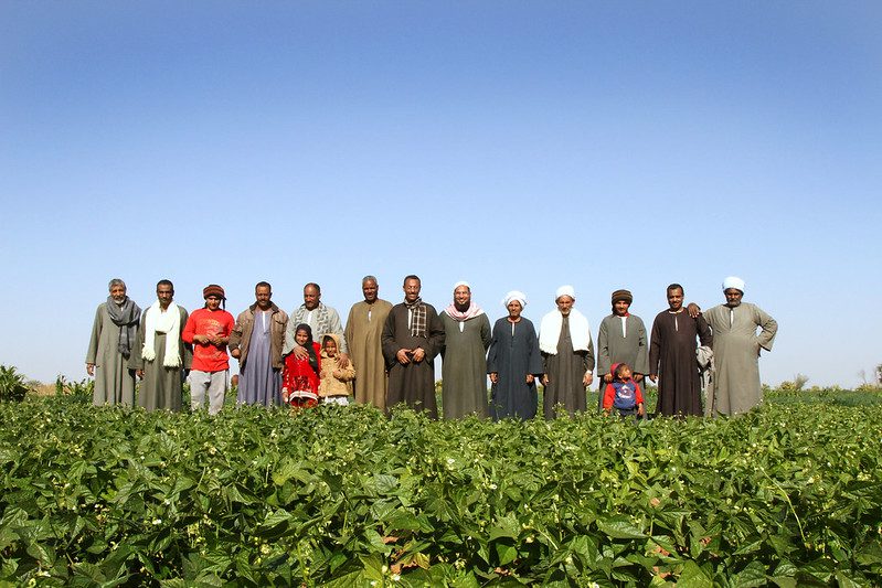USAID programs in Egypt