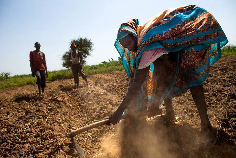 Unemployment in Sudan