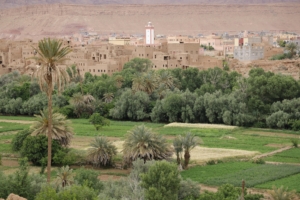 Urban Agriculture in Morocco