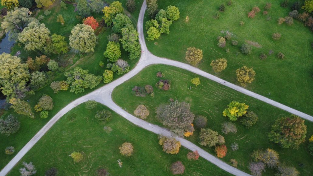Urban Forests Reduce Poverty