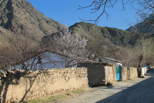 Uzbekistan Poverty Rate