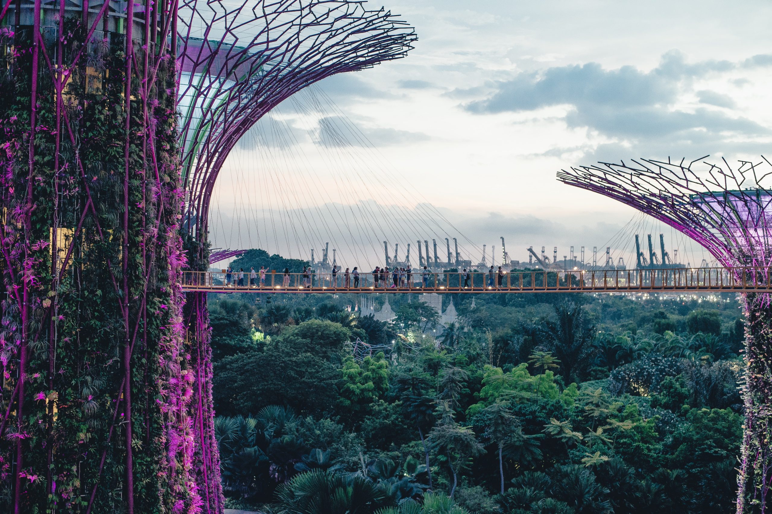 Vertical Farming in Singapore