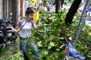 Victims of Typhoon Yagi