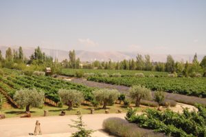 War in South Lebanon