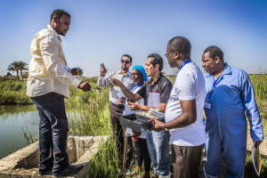 Water Quality in Egypt
