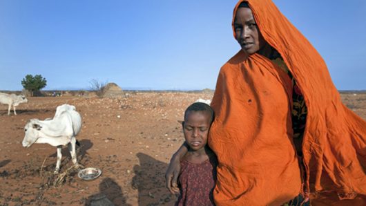Water Quality in Ethiopia