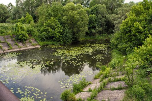 Water Quality in Russia