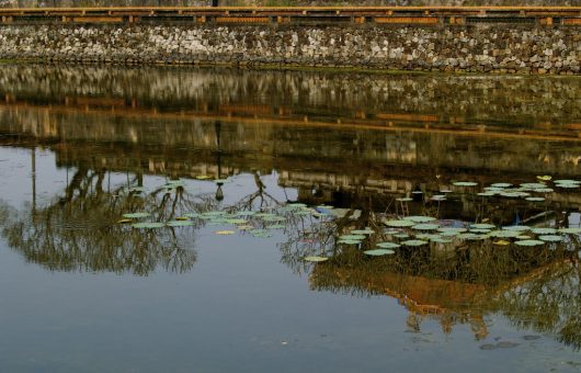 Water Quality in Vietnam