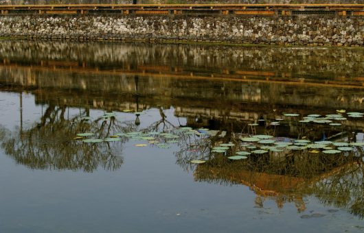 Water Quality in Vietnam