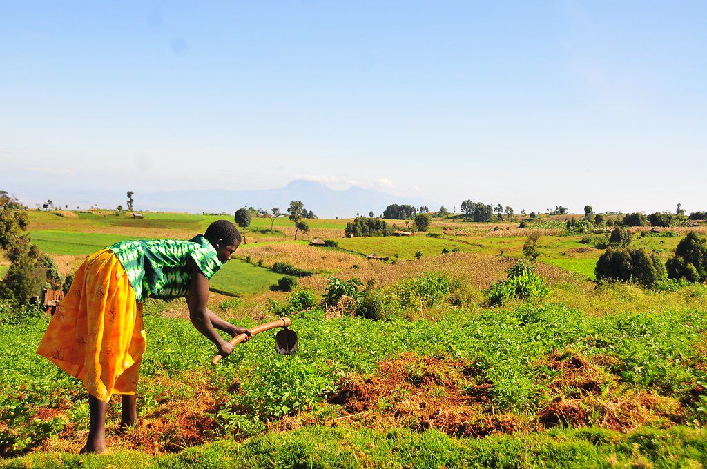 Water Scarcity Poses to Farmers