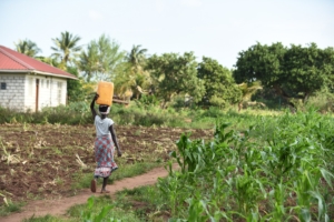 Water Services to the Poor