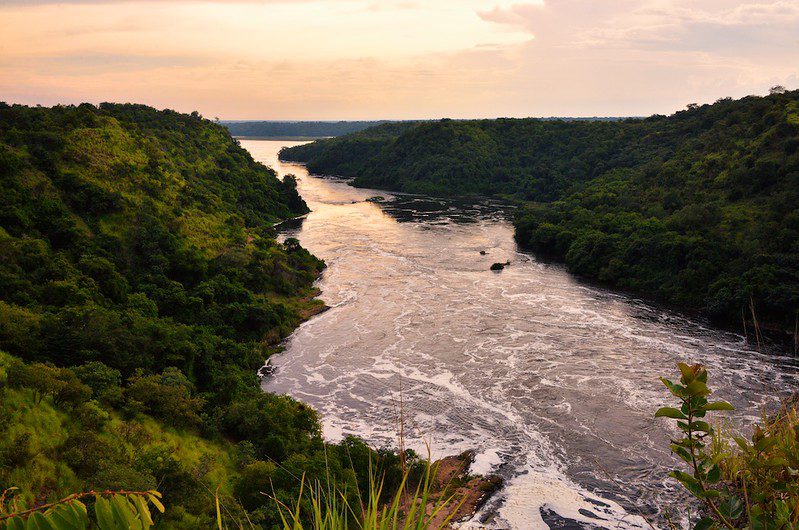 Water in the Nile River