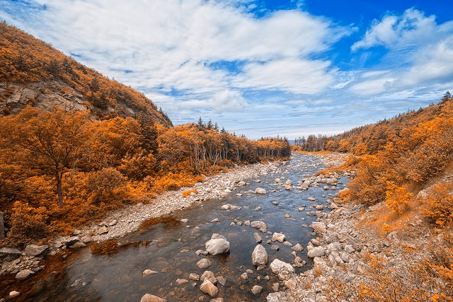 Water Quality in Canada