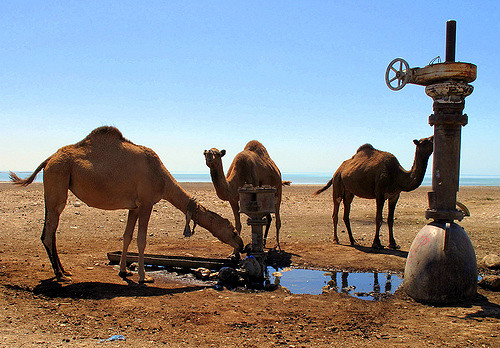 Water Quality in Turkmenistan