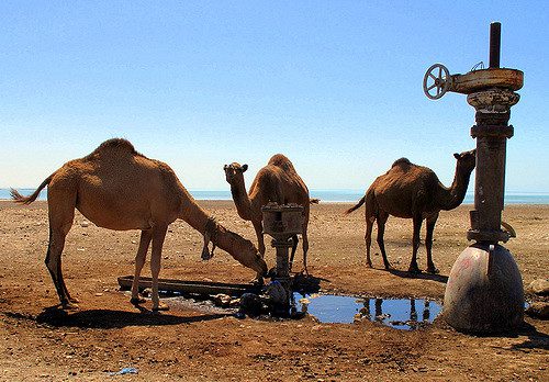 Water Quality in Turkmenistan