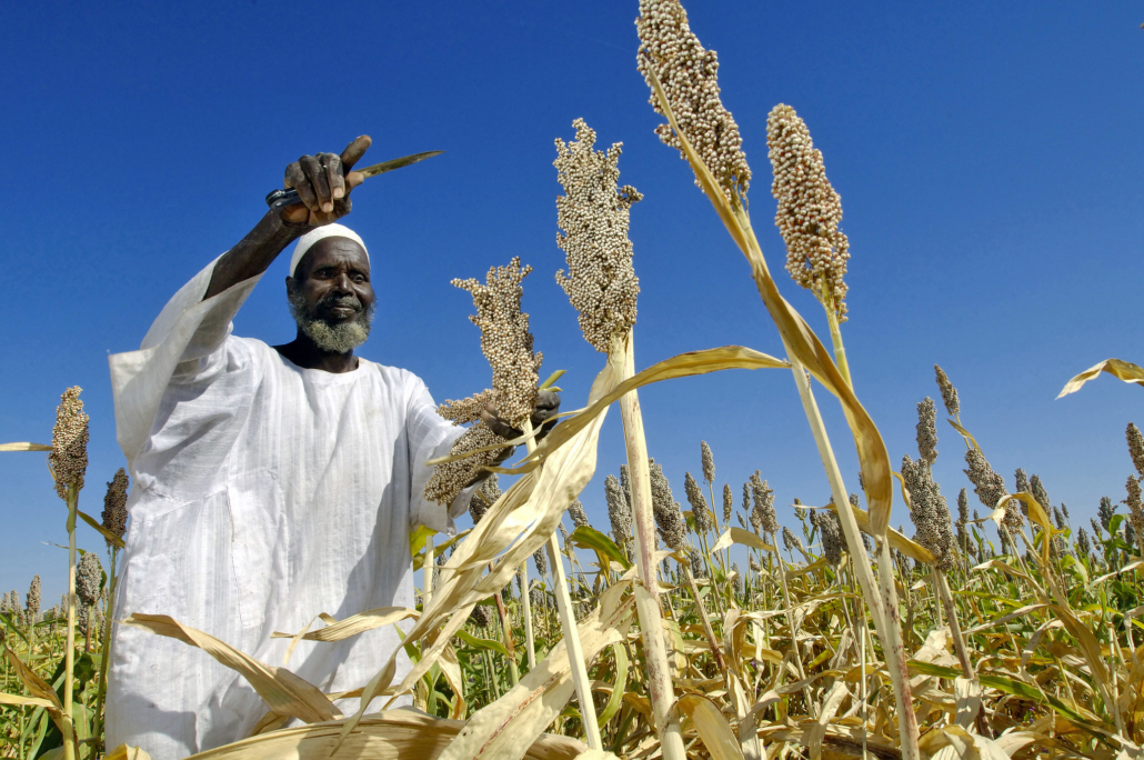 Ways To Address World Hunger