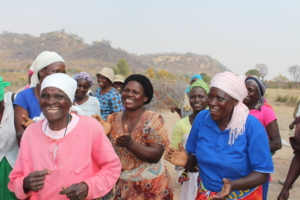 Ways to Improve Health in Zimbabwe