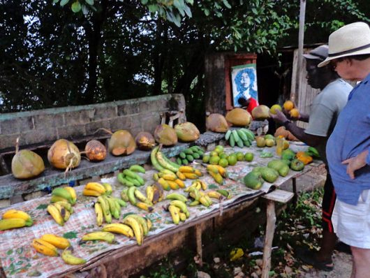 Why Dominica Is Poor