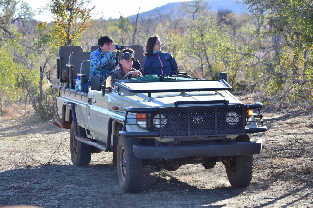 Wildlife Tourism in Africa