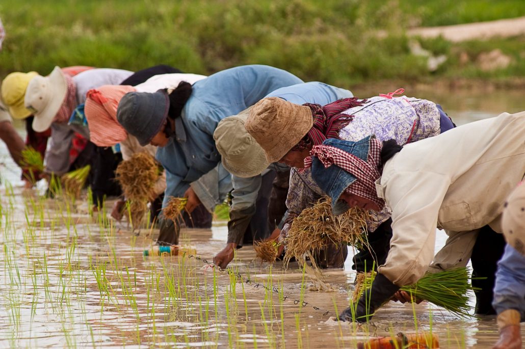 Women Leaders in Cambodia