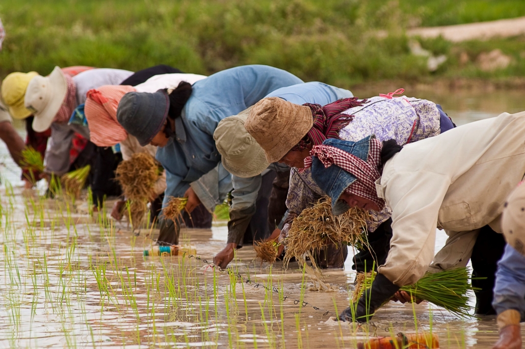 Women Leaders in Cambodia