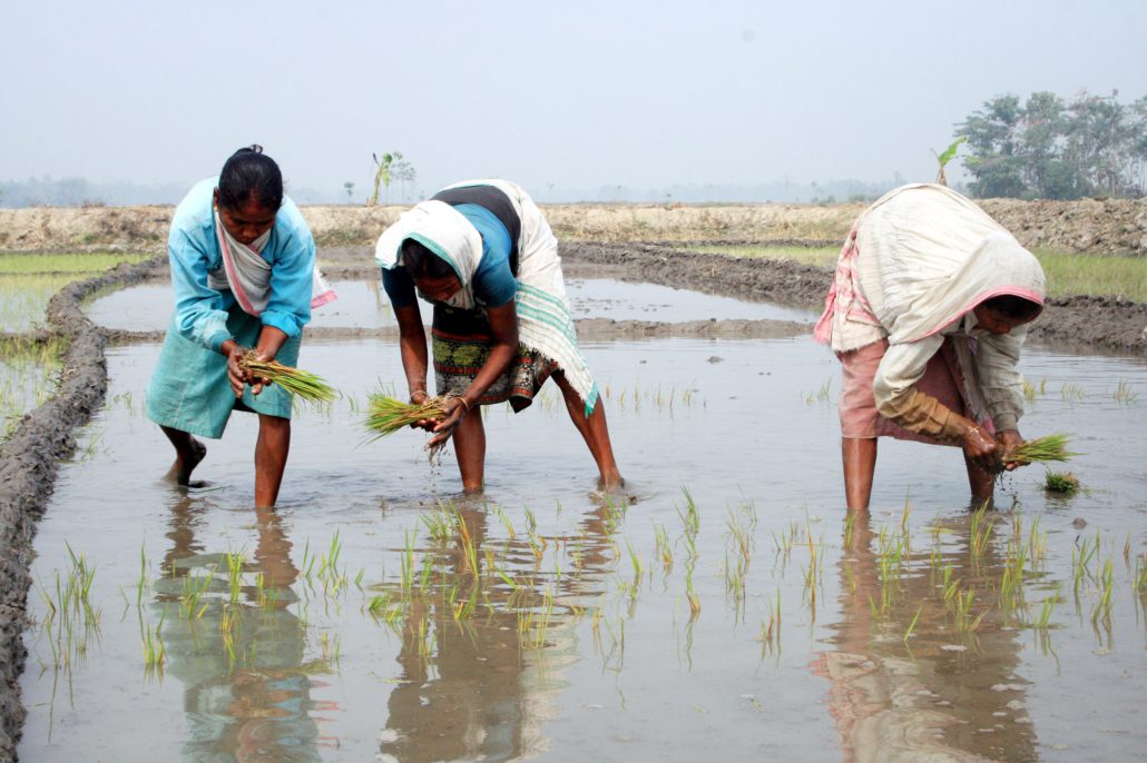 Women in India’s Informal Sector