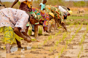 Poverty in The Gambia