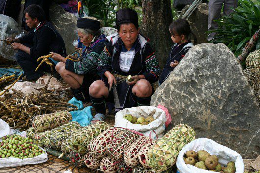 poverty_reduction