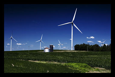 World Bank Renewable Resources
