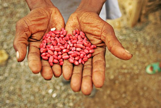 World_hunger_statistics