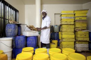 Zambian Farmers