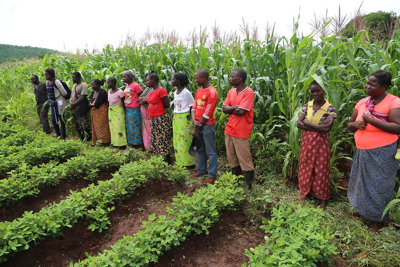 Zambia’s Agricultural Communities
