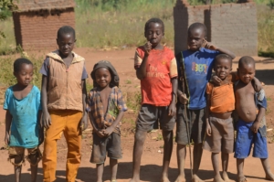 Zero-Dose Children in Chad