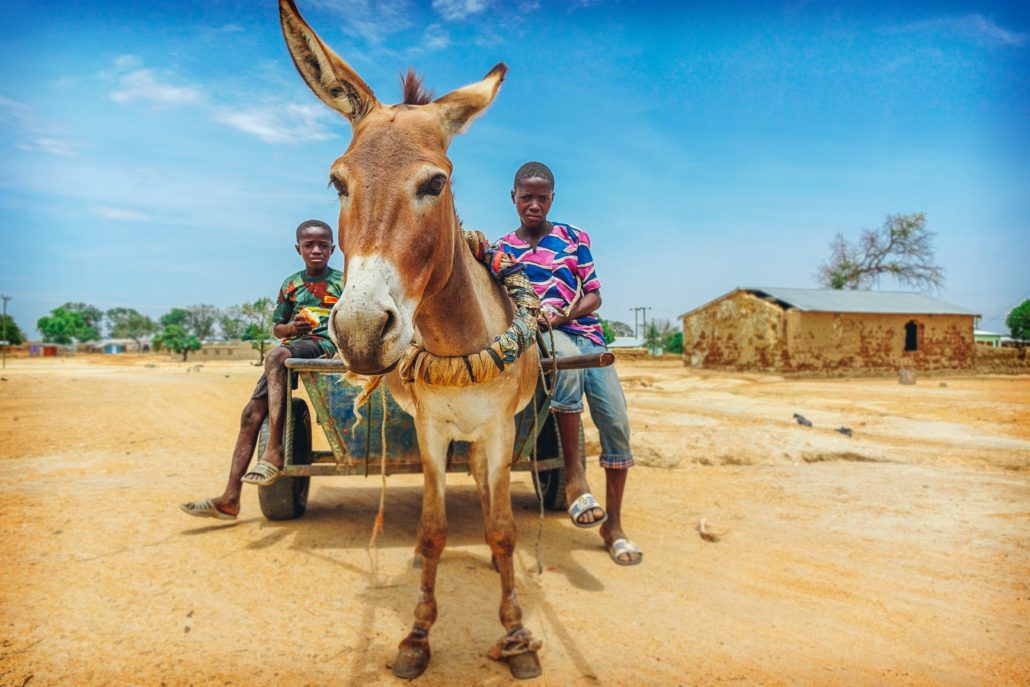 Zoonotic Diseases in Kenya