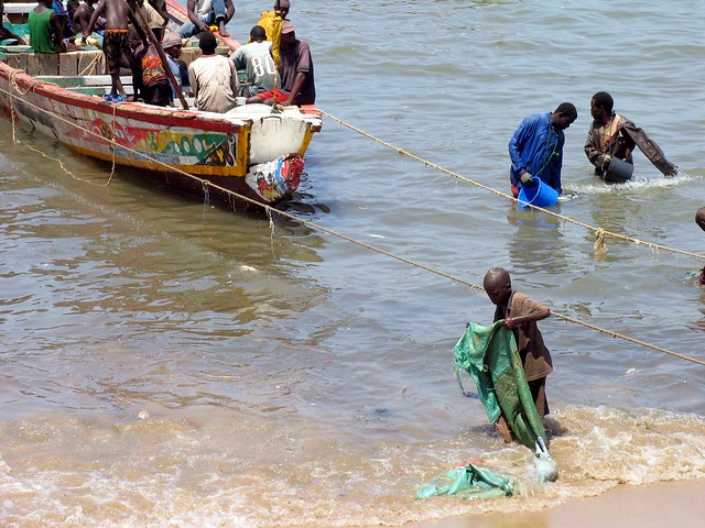 africa water grab