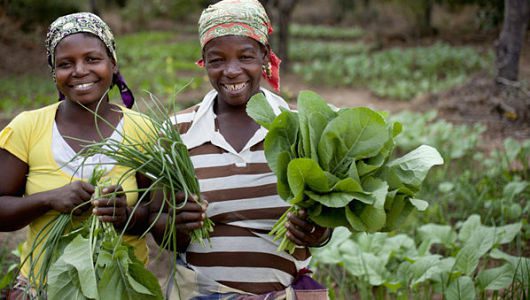 africas_food_crisis