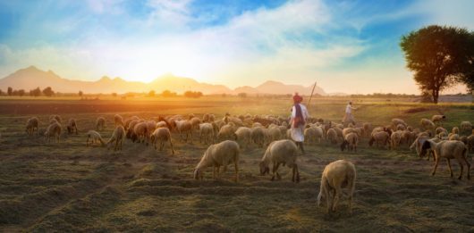 In India, Farmers Suicide is a Complex Problem