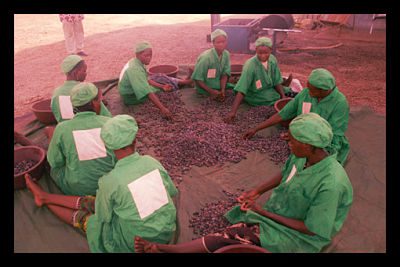 Does WTO's Aid for Trade Reduce Poverty?