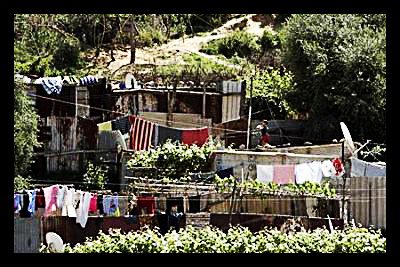 algeria_poverty