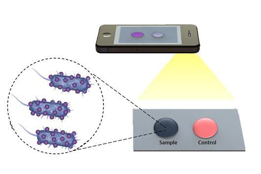 medical_microchips