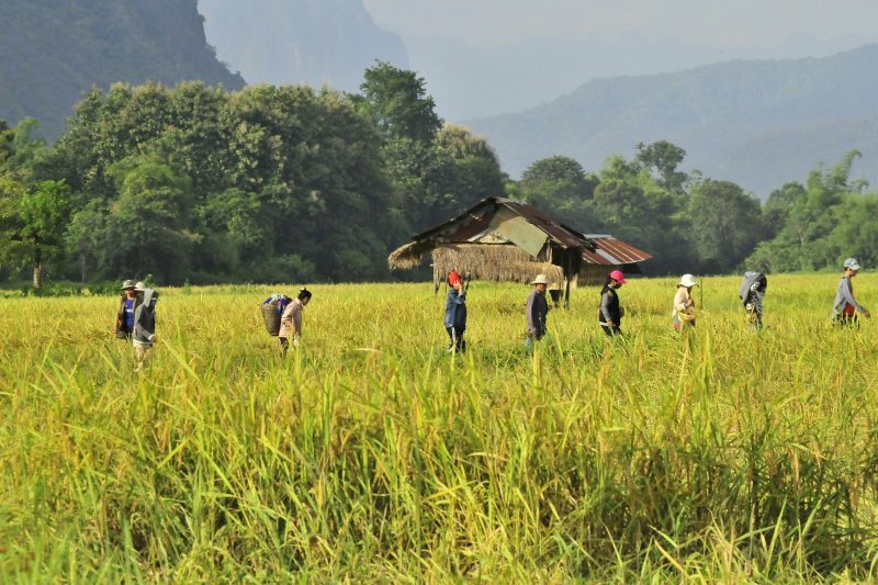 Charities Operating in Laos