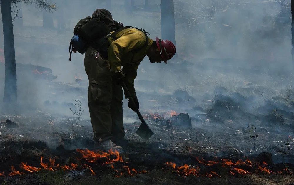 Wildfires in Brazil