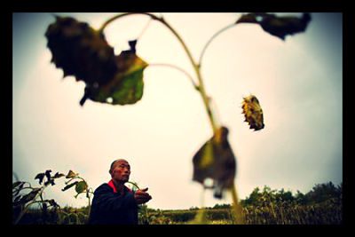 china_environmental_problem