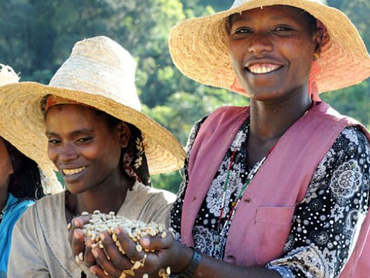 coffee_farmers