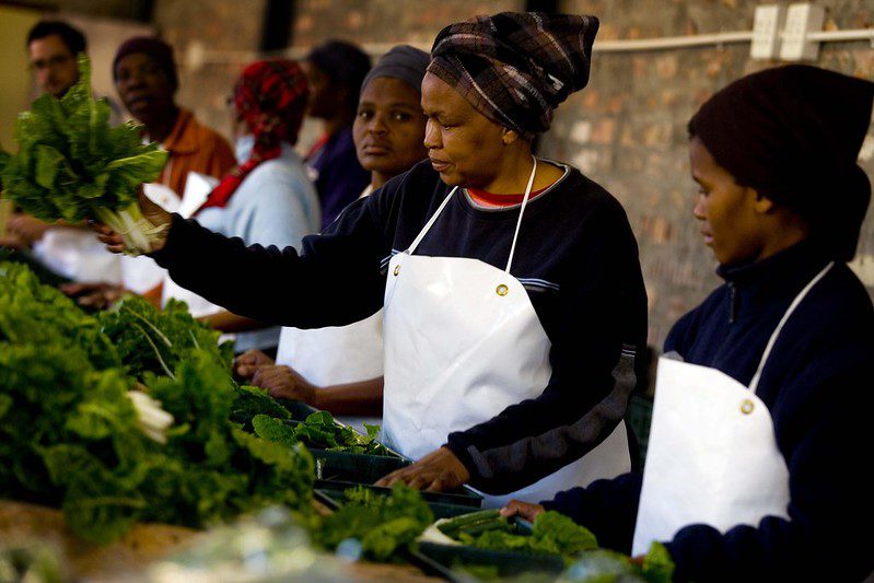 covid-19 in south africa