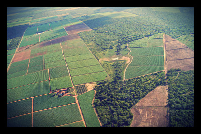 crops_south_africa