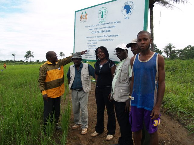 development projects in sierra leone